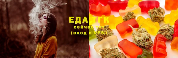 гашик Зерноград